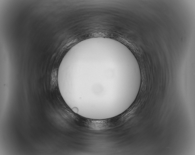 X0000087360240200704200832