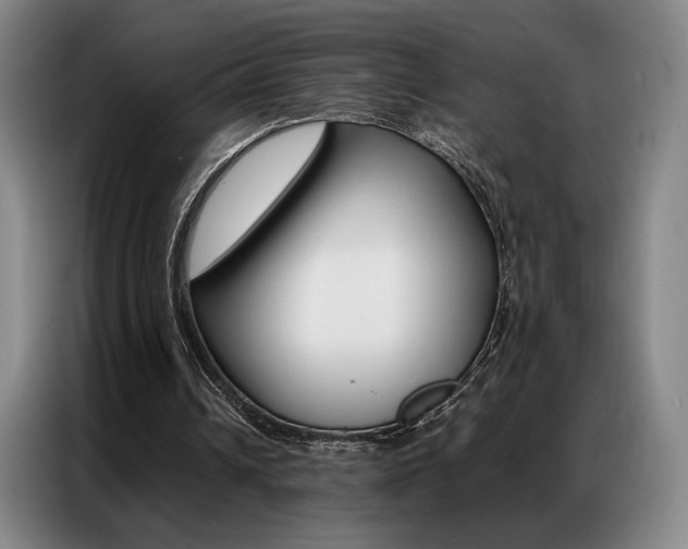 X0000087360242200704200831
