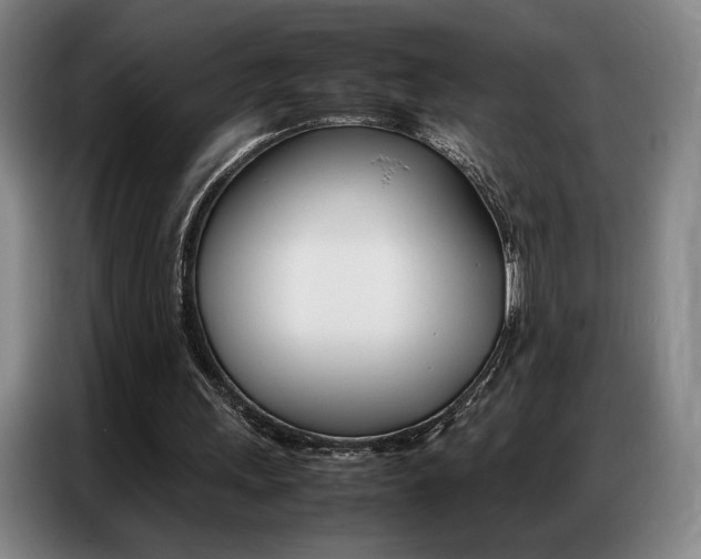 X0000087360243200704200831