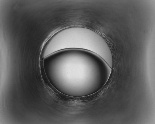 X0000087360244200704200832