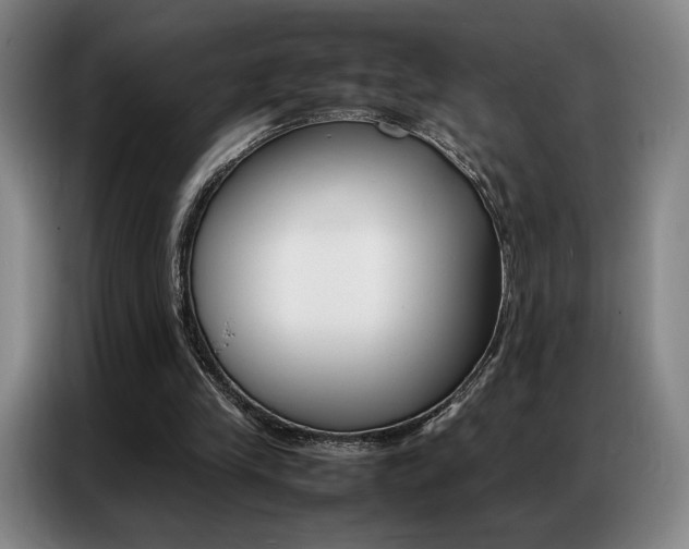 X0000087360245200704200832