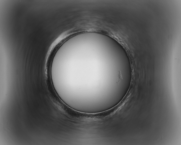 X0000087360246200704200832