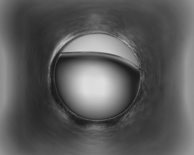 X0000087360248200704200832