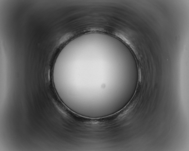 X0000087360253200704200832