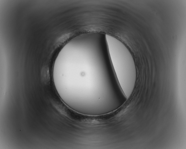 X0000087360254200704200832