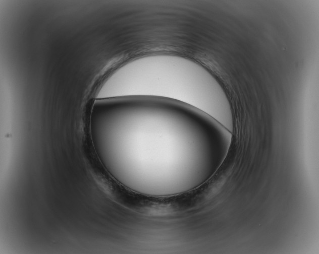 X0000087360256200704200832