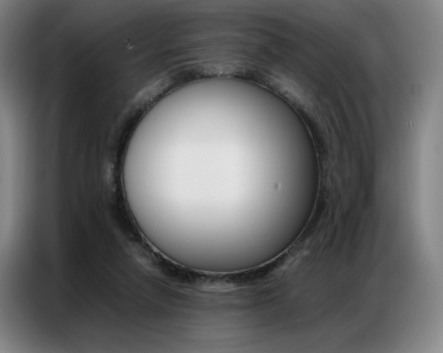 X0000087360258200704200832