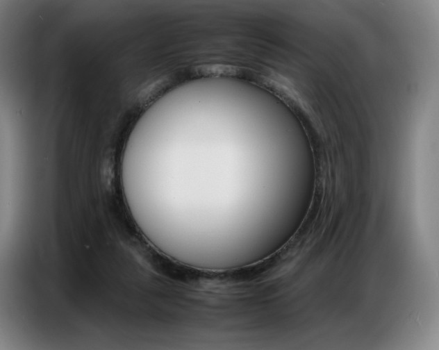 X0000087360259200704200832