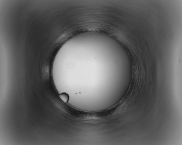 X0000087360262200704200832