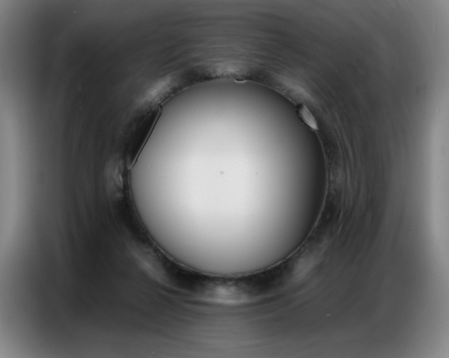 X0000087360264200704200832