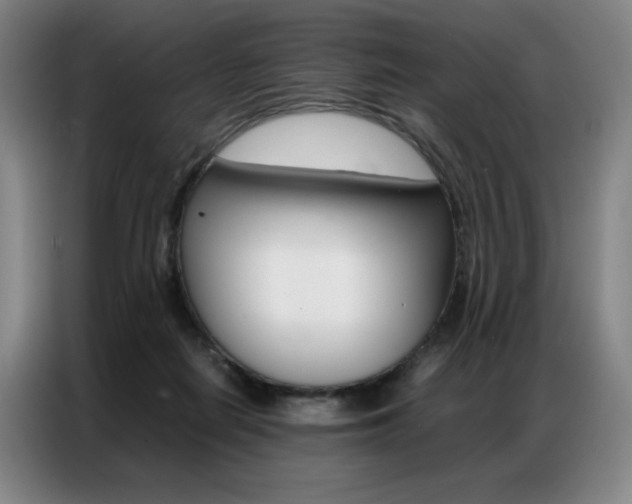 X0000087360266200704200832