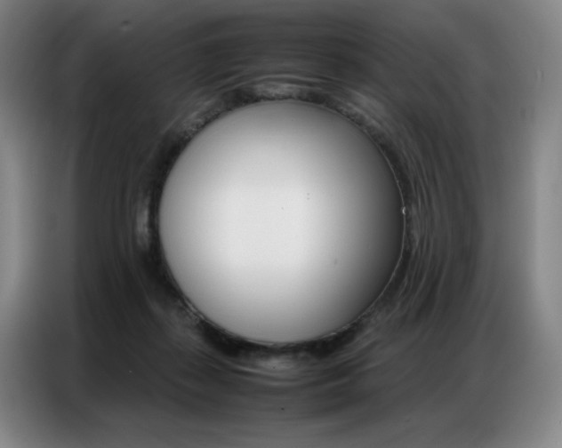 X0000087360267200704200832