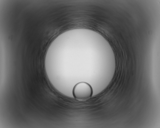 X0000087360268200704200832