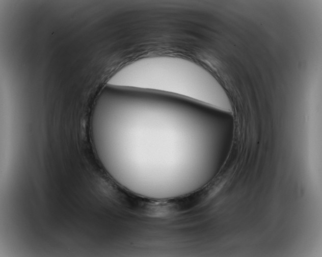 X0000087360269200704200832