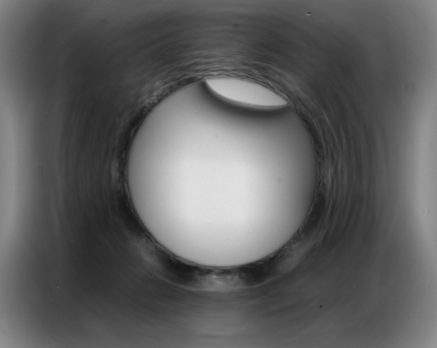 X0000087360270200704200832