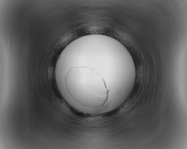 X0000087360278200704200832