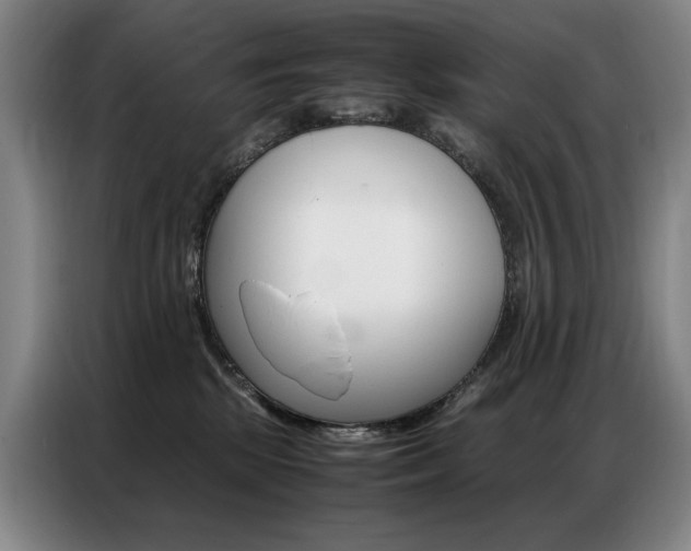 X0000087360281200704200832