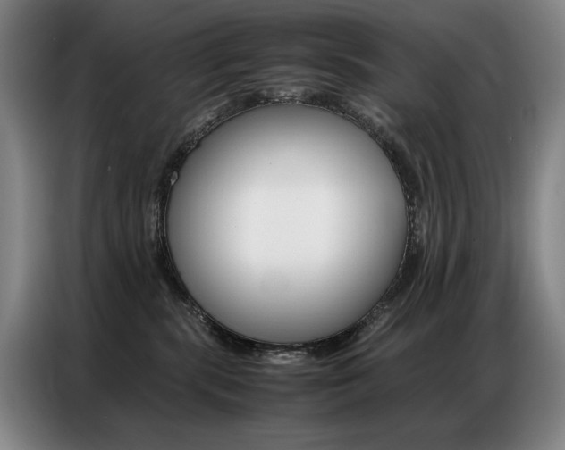 X0000087360283200704200832