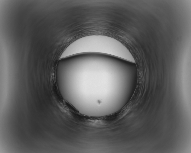 X0000087360284200704200832