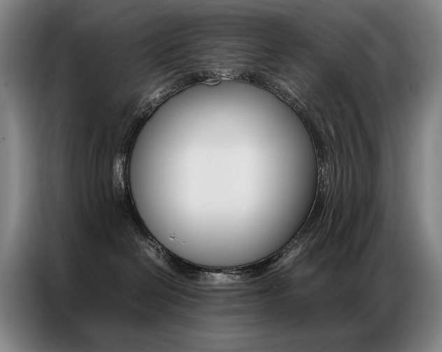 X0000087360286200704200832