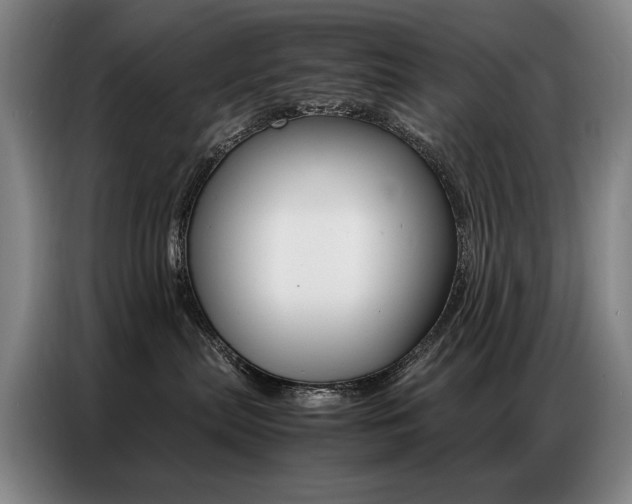 X0000087360287200704200832