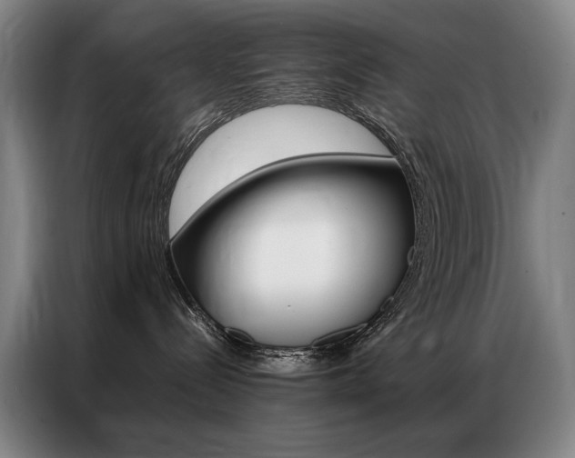 X0000087360288200704200832
