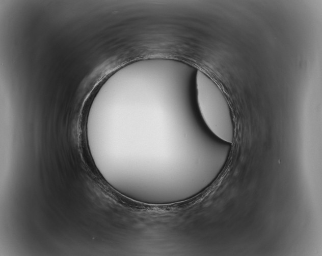X0000087360290200704200831