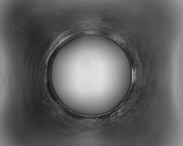 X0000087360291200704200831