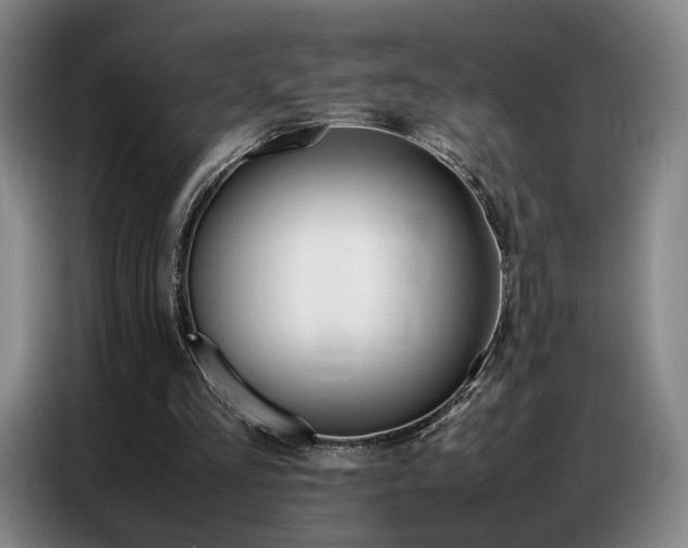 X0000087360293200704200831