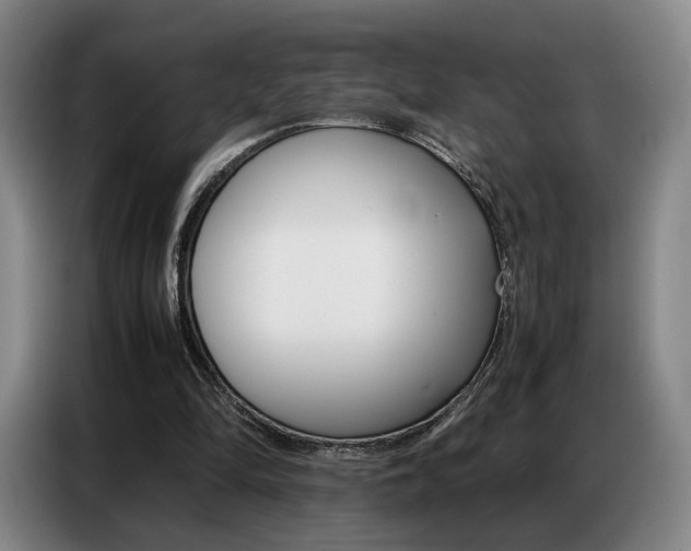 X0000087360294200704200831
