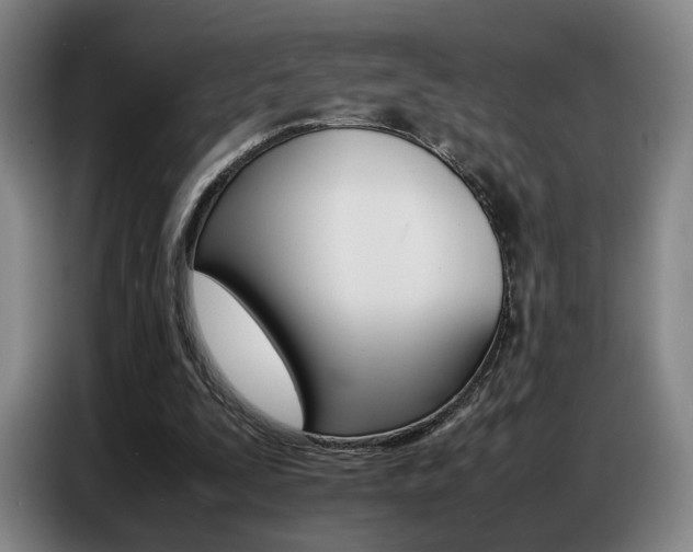 X0000087360295200704200831