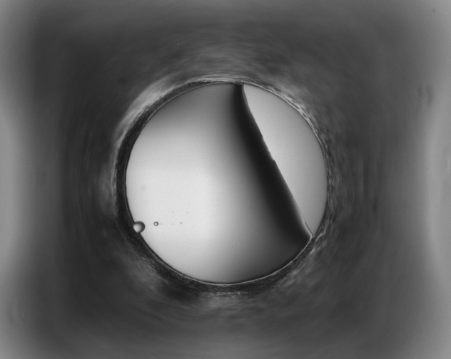 X0000087360296200704200831