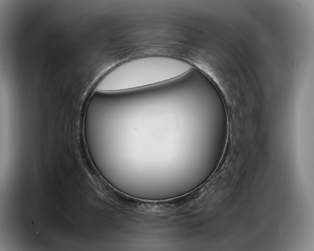 X0000087360297200704200831
