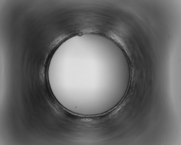 X0000087360298200704200831