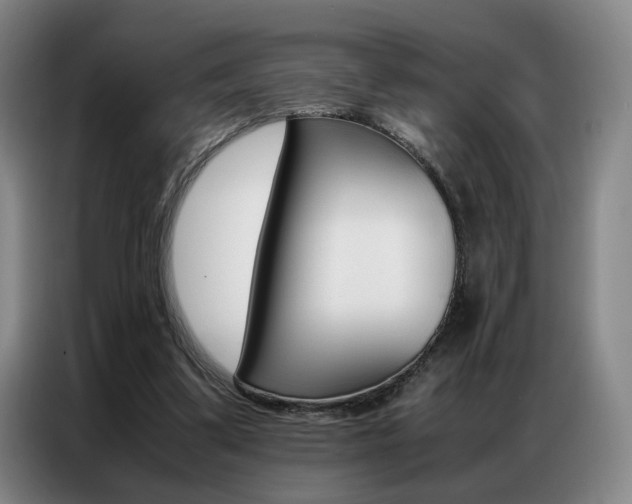 X0000087360299200704200831