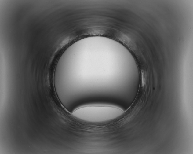 X0000087360300200704200831