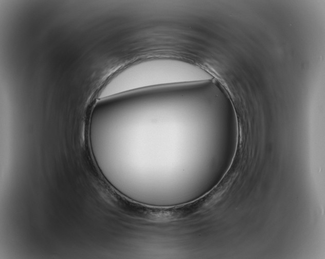 X0000087360301200704200831