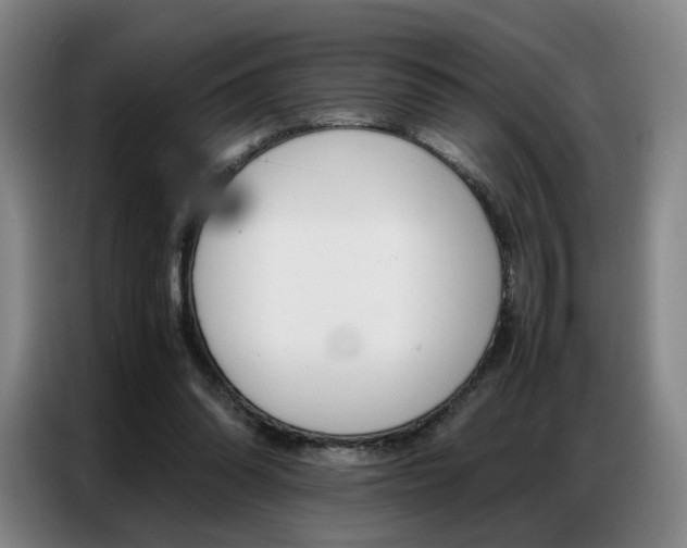 X0000087360302200704200831