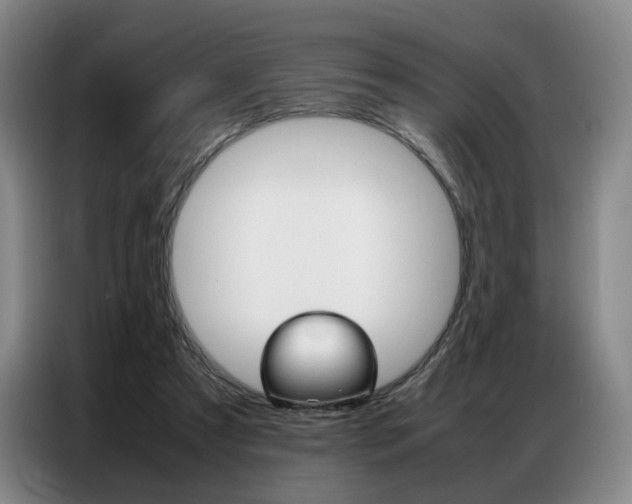X0000087360305200704200831