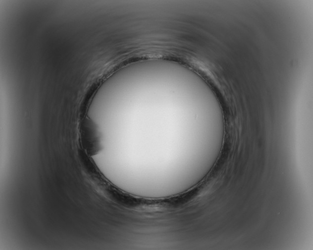 X0000087360307200704200831