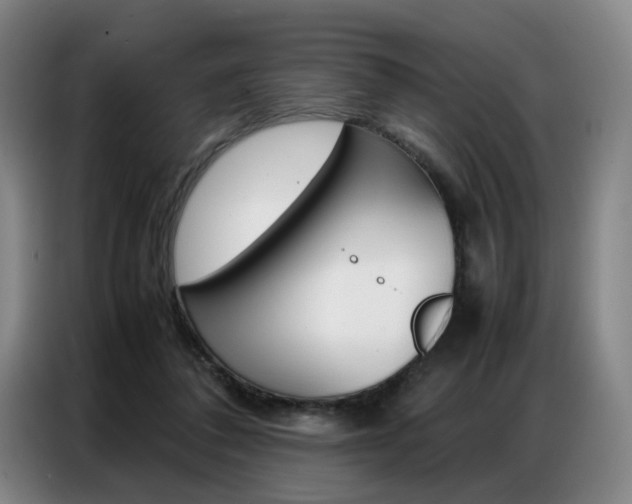 X0000087360308200704200831