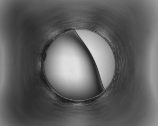 X0000087360309200704200831