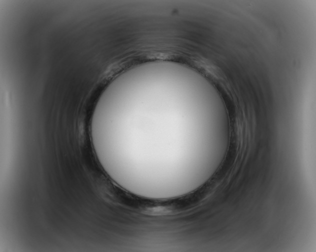 X0000087360312200704200831
