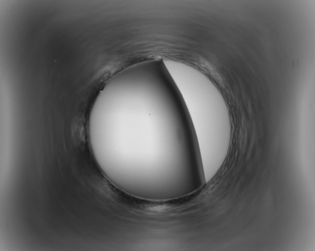 X0000087360313200704200831