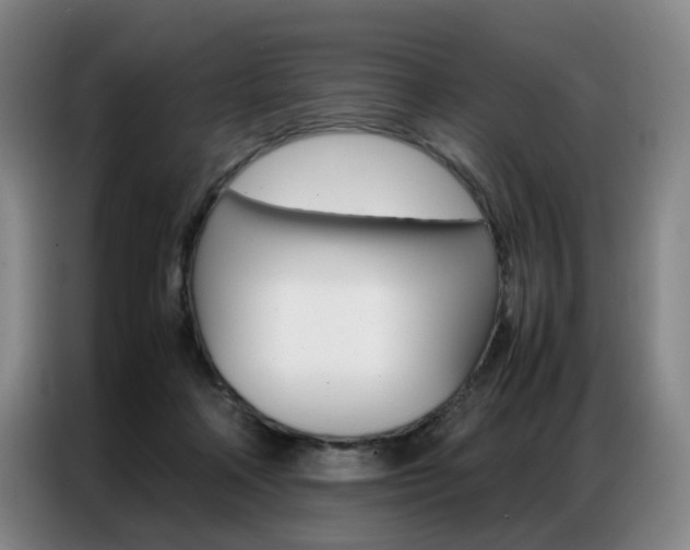 X0000087360314200704200831