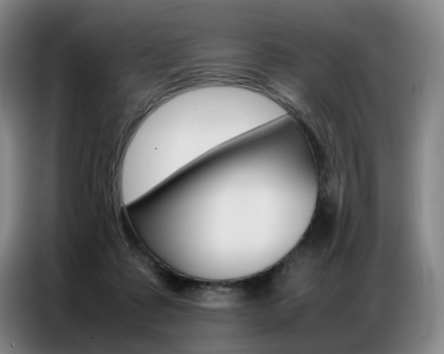 X0000087360315200704200831