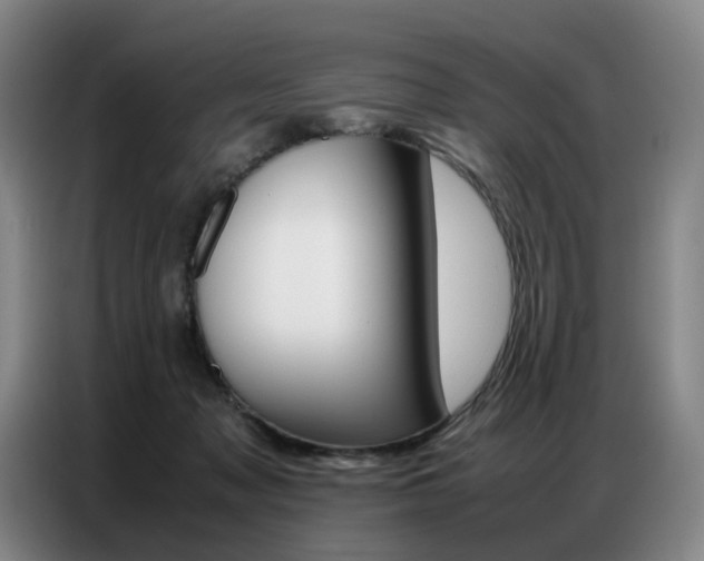 X0000087360317200704200831