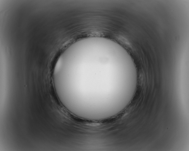 X0000087360318200704200831