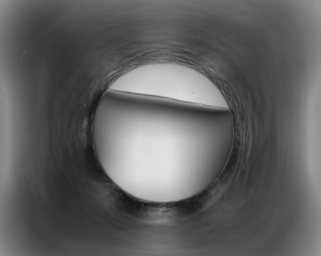 X0000087360319200704200831