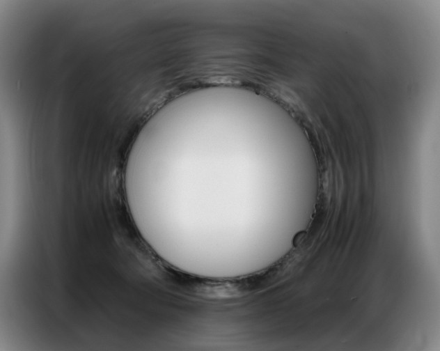X0000087360322200704200831